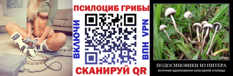 Галлюциногенные грибы GOLDEN TEACHER  Солигалич 